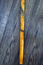 Load image into Gallery viewer, Gift Cane Walking Stick Canes Sticks Reed Staff Wood Wooden Hand-Carved Carving Handmade Cane Accessories ( Snake )