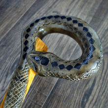 Load image into Gallery viewer, Gift Cane Walking Stick Canes Sticks Reed Staff Wood Wooden Hand-Carved Carving Handmade Cane Accessories ( Snake )